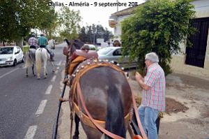 03 ALMERIA PROMENADE VERS DALIAS (15)